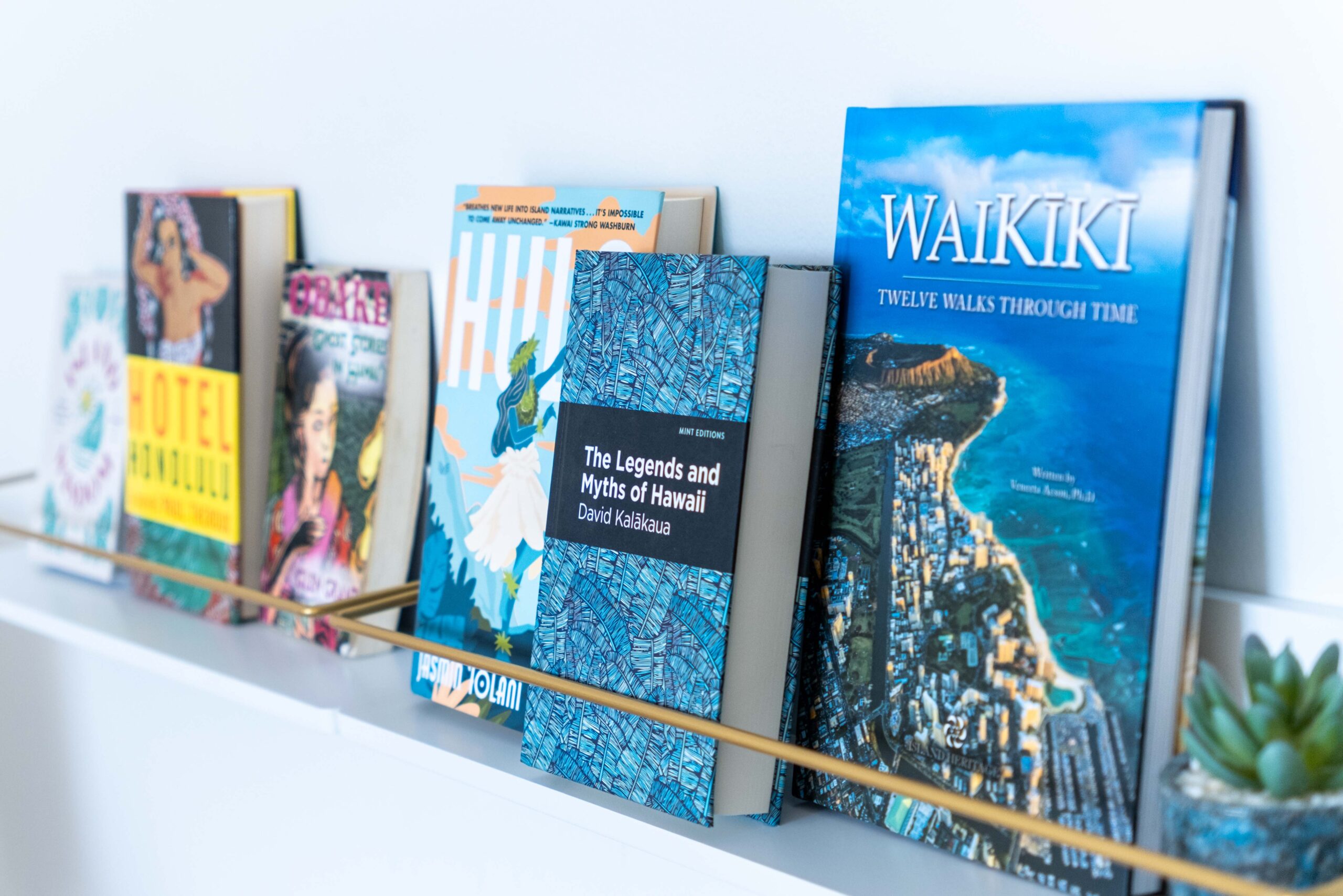 HorizontalBookshelf_LowRes